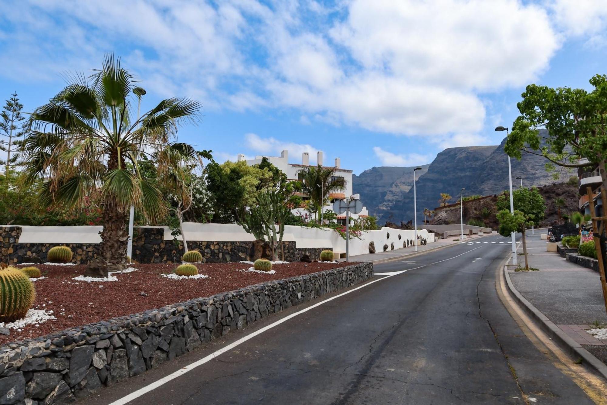 Markethome Balcon De Los Gigantes B09 プエルト・デ・サンティアゴ エクステリア 写真